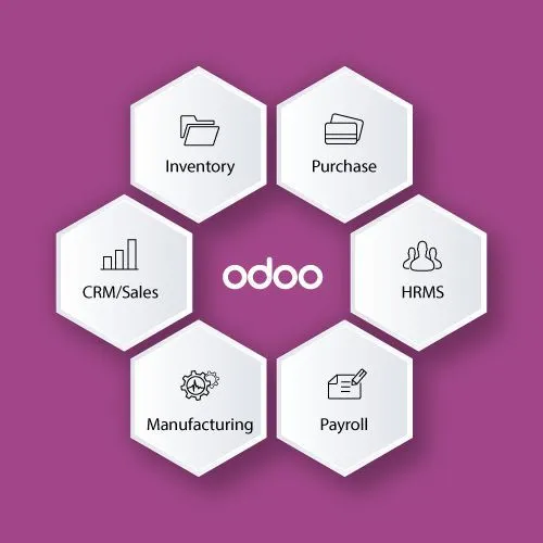 Odoo ERP - Monthly Access